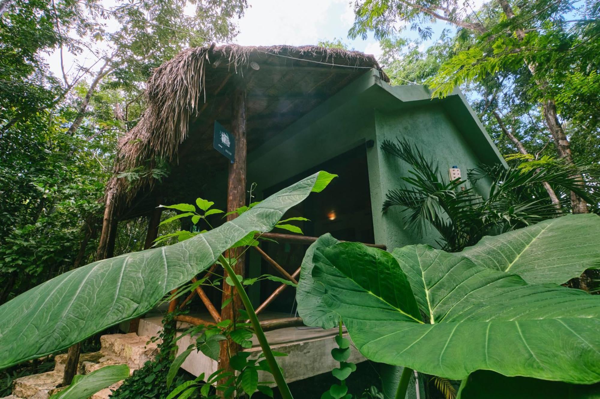Villas Zamna - Jungle Villas Cozumel Luaran gambar