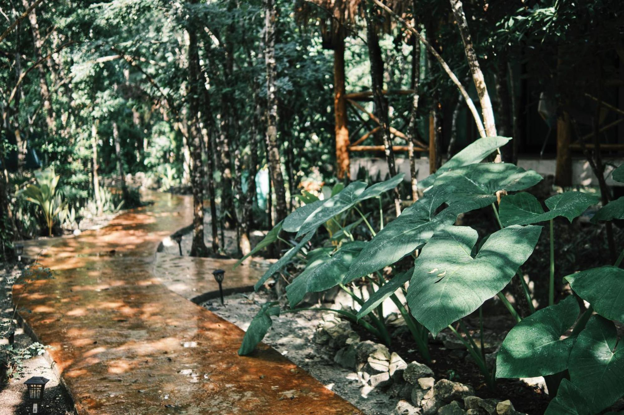 Villas Zamna - Jungle Villas Cozumel Luaran gambar