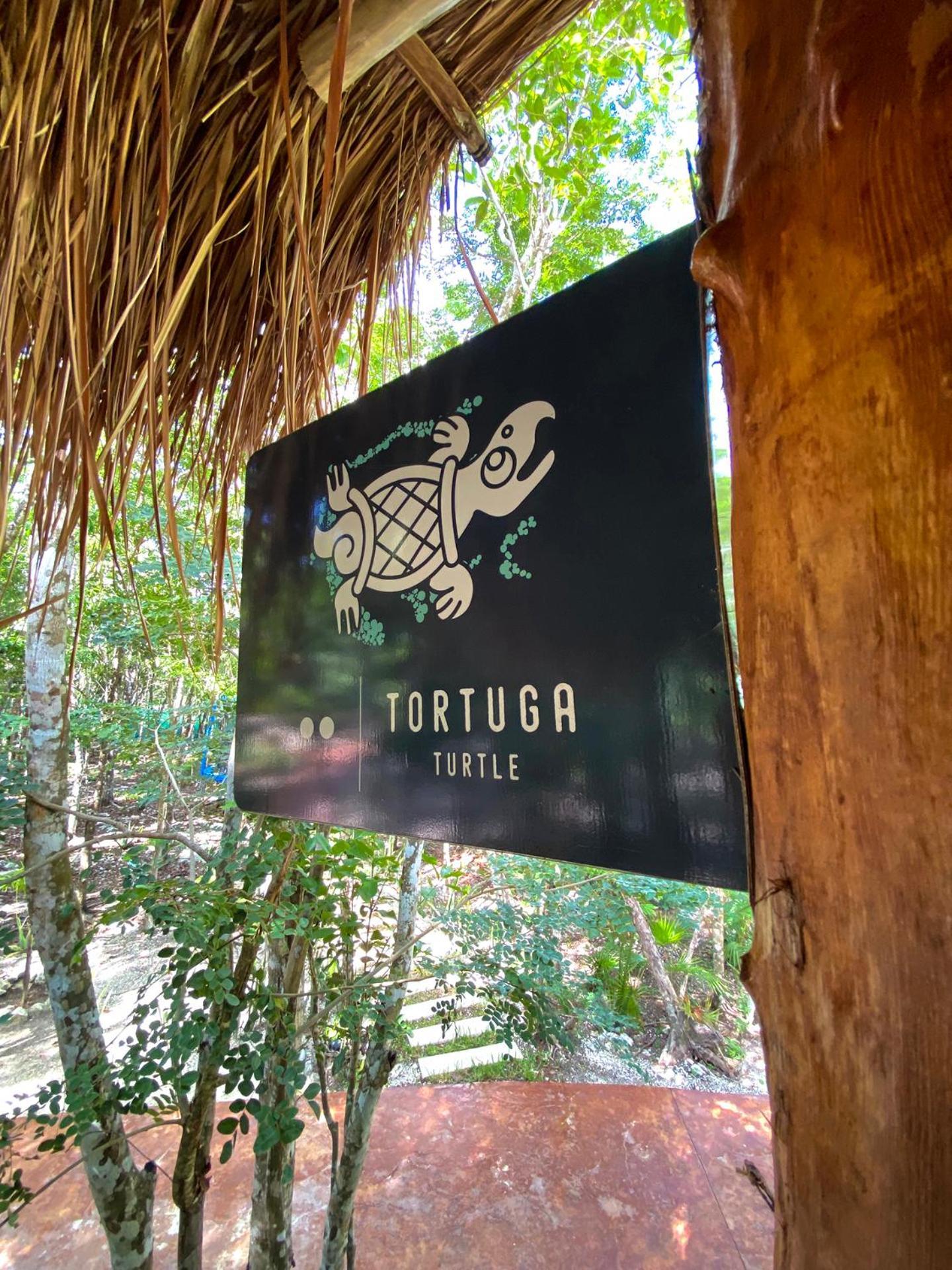 Villas Zamna - Jungle Villas Cozumel Luaran gambar