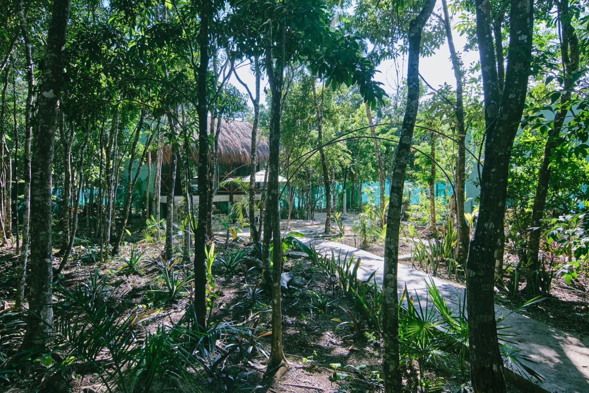 Villas Zamna - Jungle Villas Cozumel Luaran gambar