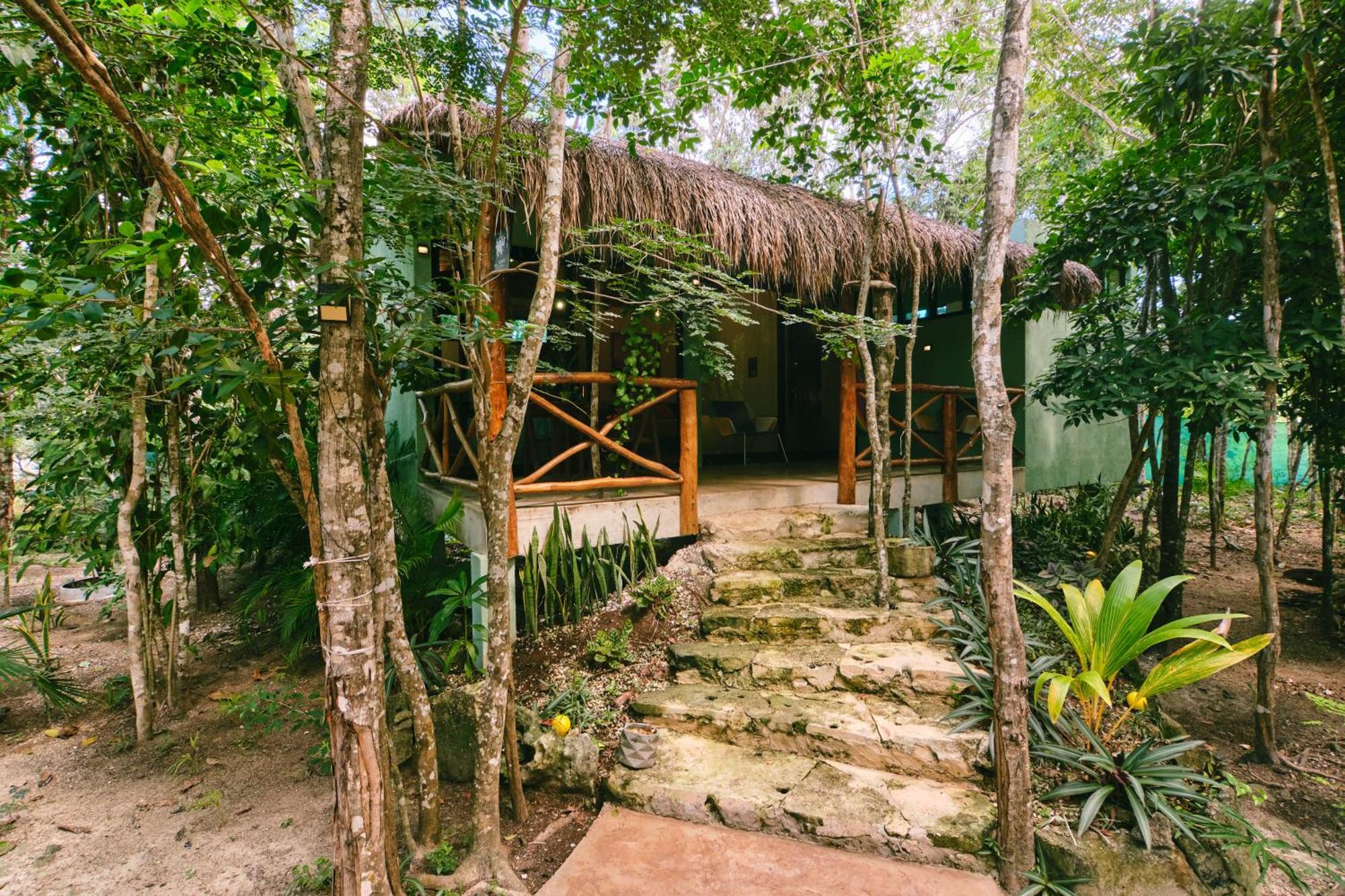 Villas Zamna - Jungle Villas Cozumel Luaran gambar