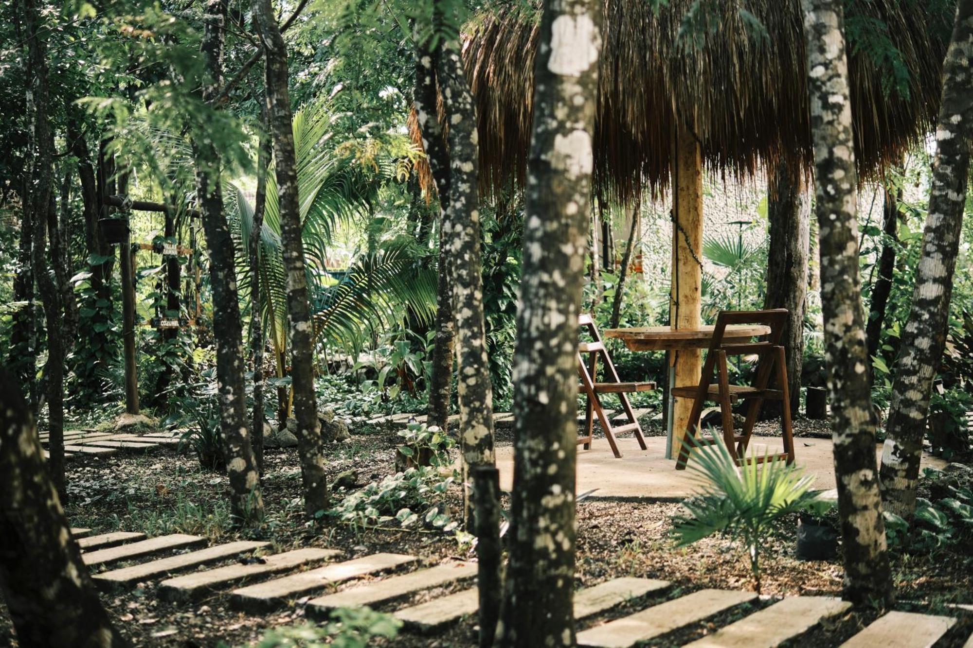 Villas Zamna - Jungle Villas Cozumel Luaran gambar