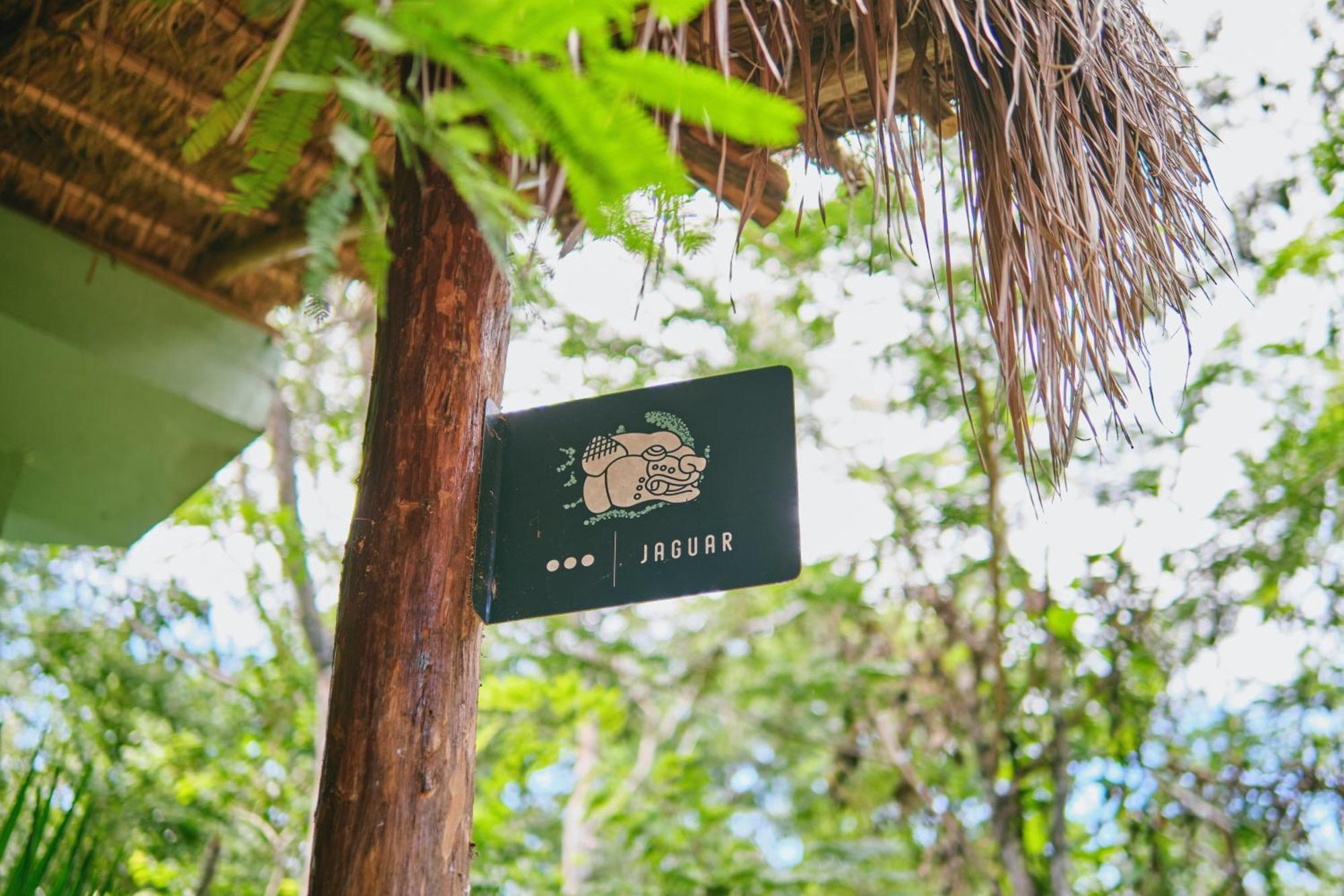 Villas Zamna - Jungle Villas Cozumel Luaran gambar